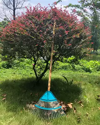 Hot sale Taiwan Liangjia grass rake 22 teeth wooden handle Cutta leaf rake deciduous leaf dead branch leaf garden cleaning tools