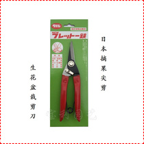 Hot Sell Outlet Japan Sharp Mouth Cut Tips Cut Bonsai Cut Branches Cut Branches Cut Flowers Scissors Pick Fruit Cut Gardening Potted Plants Handcut
