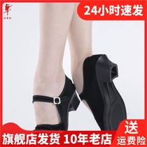 Red dance shoes womens ethnic folk dance velvet heels grade examination black heels Yangko Tibetan dance practice cloth heels