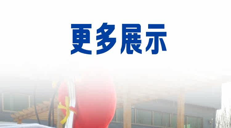 siège enfants pour vélo ROCKWELL - Ref 2440001 Image 15