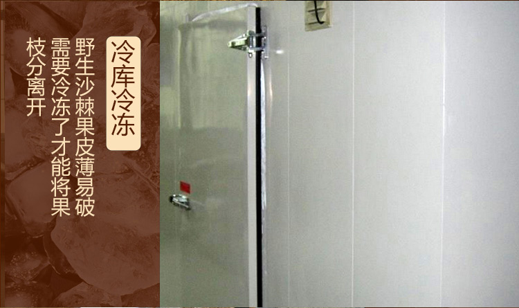 天汁然 野生沙棘原浆 188g 100%纯沙棘 图13