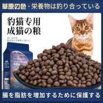 Grassland color _ leopard cat special cat food cat main grain into cat fat-fat hush sea fish for more than 12 months 2kg4 catfish
