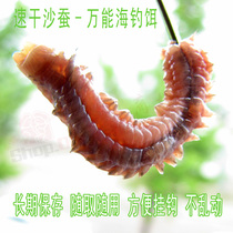 Sandworm dry sea cricket sea Maggot fish bait quick-drying sand worm sea fishing bait sea earthworm Sea centipede portable easy storage shuttle bait