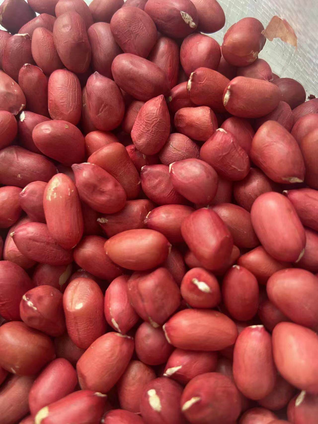 2022 New Northeast Red Skin Peanut Rice Four Red Peanut Kernel Farmhouse Self-produced 500g