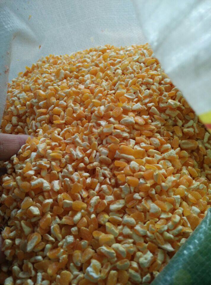 Northeast Jilin Farm produces a ballast 2021 New corn ballast 500