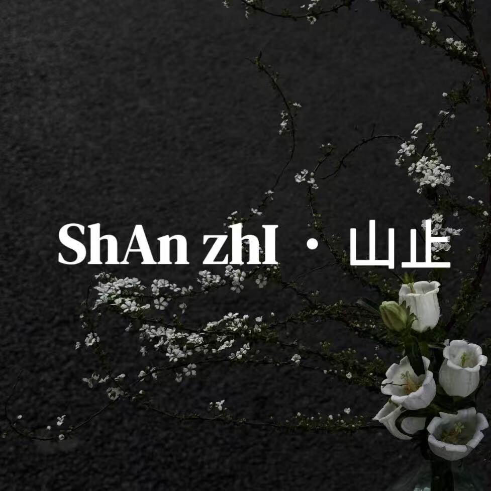 ShAn zhI的LOGO