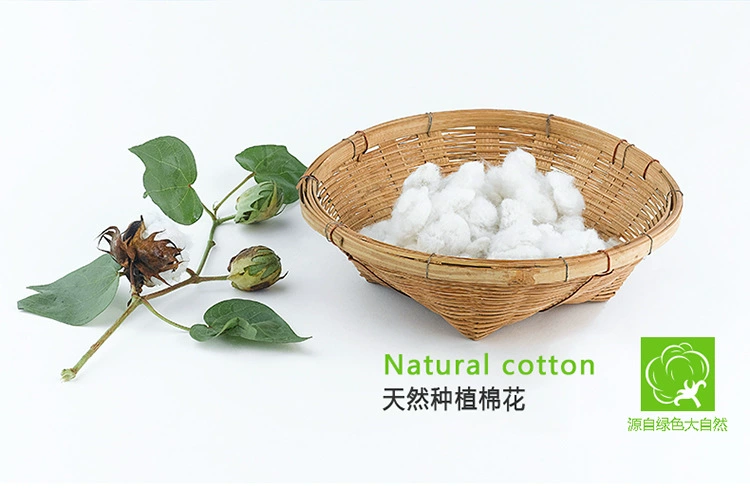 Bé trai lớn 10-11-12-13-14 tuổi Đồ lót bé trai quần boxer 9 học sinh cotton sọc 8 quần vuông quần sịp con voi