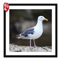  Solid wood custom photo frame wall hanging 5 inch 6 7 8 creative framed picture frame multi-size five six seven log color frame A4