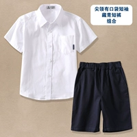 Верхний воротник с карманом+тибетские зеленые шорты