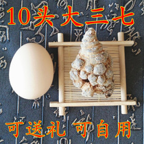 Yunnan Wenshan Sanqi origin direct sales 8 head 10 head field seven full dry 8 10 1kg