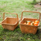 Kens picnic basket ins outdoor large imitation rattan shopping basket ອິນເຕີເນັດສະເຫຼີມສະຫຼອງ pastoral ກະຕ່າຫມາກໄມ້ເກັບກະຕ່າ