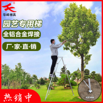 Three-legged orchard ladder Household aluminum alloy triangle ladder folding gardening landscaping pruning ladder Fruit tree picking ladder