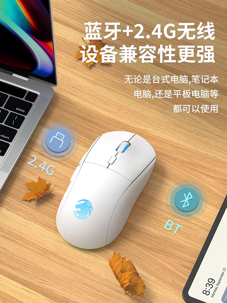 Forerunner G301 Wireless Bluetooth Dual-Mode Gaming Mouse Rechargeable Silent Office and E-Sports Dedicated Logic