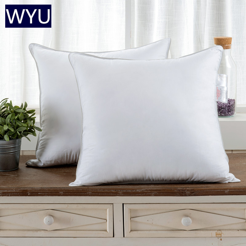 ドイツ輸入 95 エムデン ホワイトグースダウン 枕コア ダウン枕 クッション 背もたれコア ソファベッド 506065