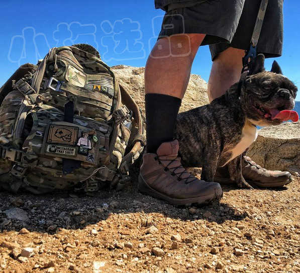 salomon forces speed assault shoes