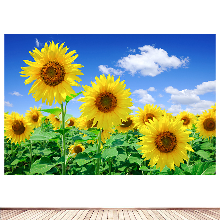 Sunflower Living Room Decorative Painting, Sea of Flowers Poster, Sunflower, Bedroom, Dining Room Wall Sticker, Mural, Self-Adhesive Painting