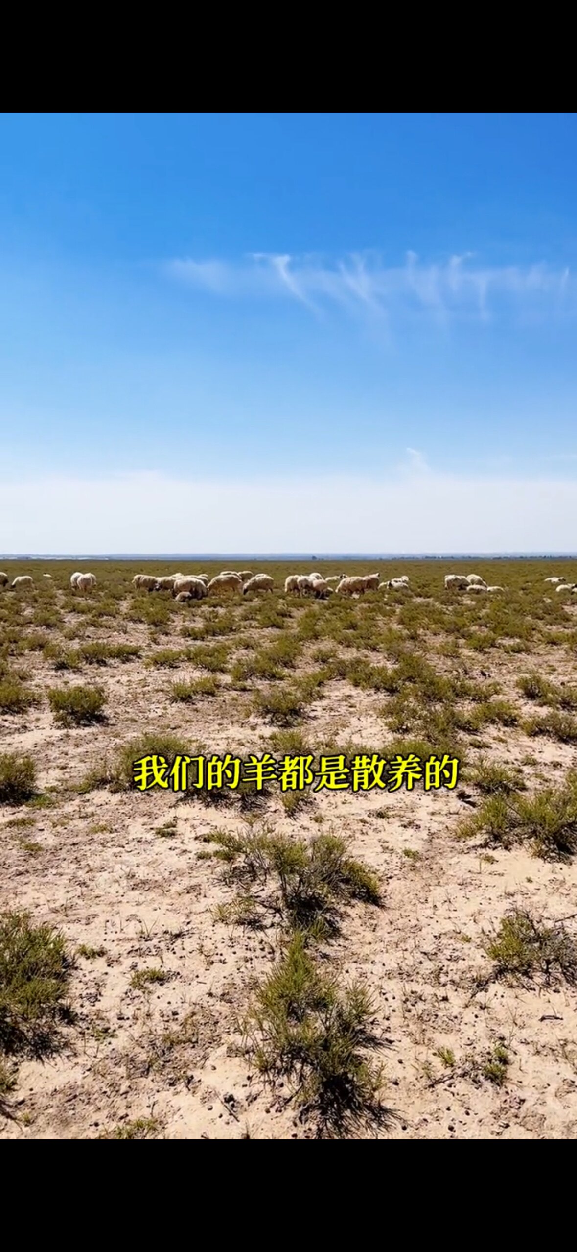 羊头领生鲜工厂