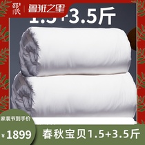 1 5 3 5kg 2 strips spring and autumn combination of mother quilt silk quilt 100 mulberry silk two in one four seasons Universal