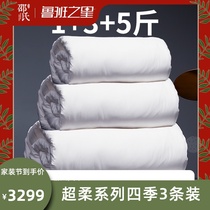 1 3 5 Jin 3 pieces of silk quilt 100 mulberry silk mother quilt two in one Spring and Autumn Winter