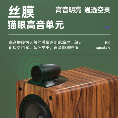 SAST/先科 Lezun № 5 Профессиональная лихорадка Hifi Мониторинг динамика из книжного камня 5 -дюймовый бас высокий уровень высокого уровня.