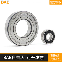 BAE Germany curved bearing 60 22 60 28 60 32 62 22 62 28 62 32 63 22 63 28