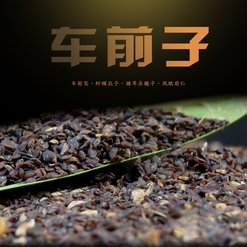 Large Ba Mountain wild plantain seed 500g plantain seed Plantain Seed Tea Cart Front Seed Chinese Herbal Medicine