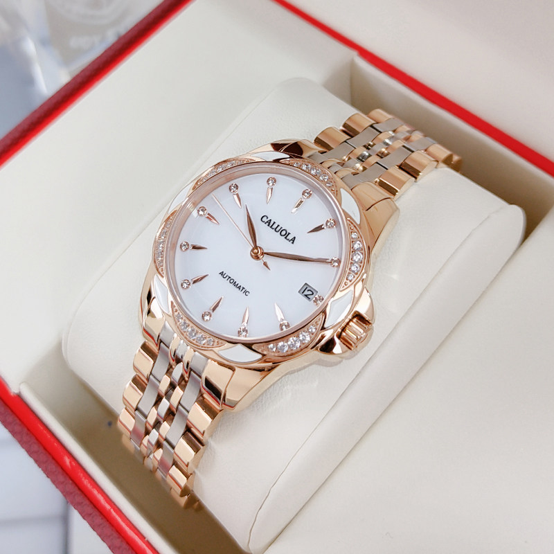 Carole Brands Special Cabinet Lady Watches Women 2021 New Nameplate Mechanical Watches minimalist Temperament Women Watches