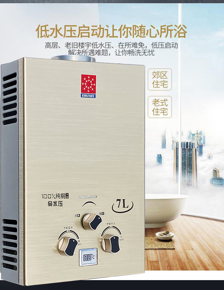 Газовый водонагреватель 家用燃气热水器煤气天然气液化气免水压出租房用洗澡强排平衡式 Shengjihua