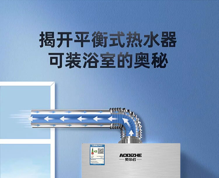 Газовый водонагреватель 正品平衡式燃气热水器家用液化气煤气款天然气洗澡恒温12升免水压 Zuanshihua