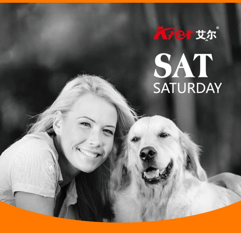 Thức ăn cho chó trưởng thành Aier 5kg10 kg Teddy Golden schnauzer Labrador Thứ bảy đặc biệt thức ăn cho chó lông - Chó Staples pate cho chó con