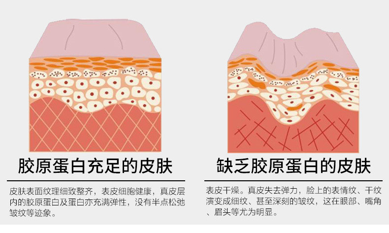 SR Marine Collagen Peptide 1_04.jpg