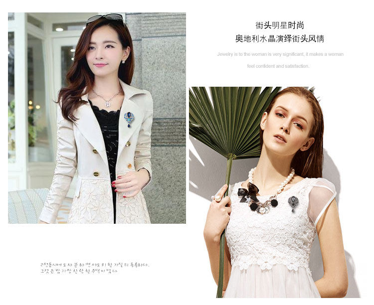 Broche femme en Zircon diamant - Ref 1170701 Image 23