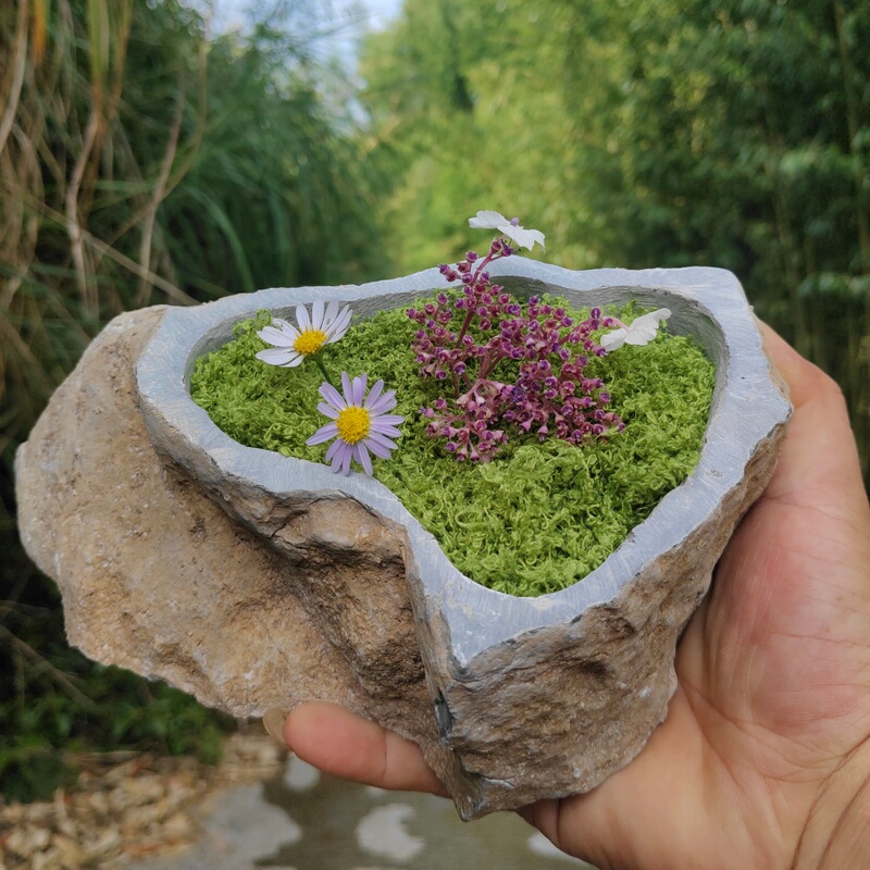Stone Flower Pots, Creative Vases, Succulent Hydroponic Planting Containers, Money Grass, Calamus, Narcissus, Large Stone Pots, Personalized