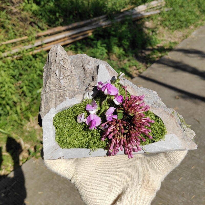 Stone Flower Pots, Creative Vases, Succulent Hydroponic Planting Containers, Money Grass, Calamus, Narcissus, Large Stone Pots, Personalized Stone Flower Pots, Creative Vases, Succulent Hydroponic Planting Containers, Money Grass, Calamus, Narcissus, Large Stone Pots, Personalized