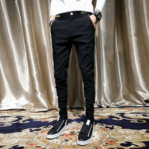 Spring hair stylist pants Mens casual pants Korean slim elastic trend small pants suit pants Youth trousers