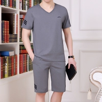 858 Grey [Short -Sleeved+шорты]