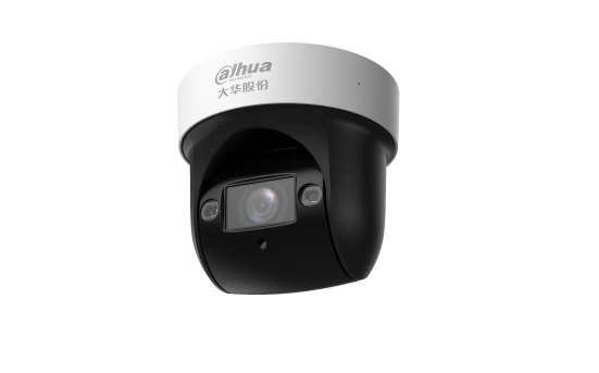 Dahua 2 Inch 4 million Pixel Easy to Intelligent Infrared POE Power Supply Network Ball Machine DH-SD29D404-DP-i-Taobao