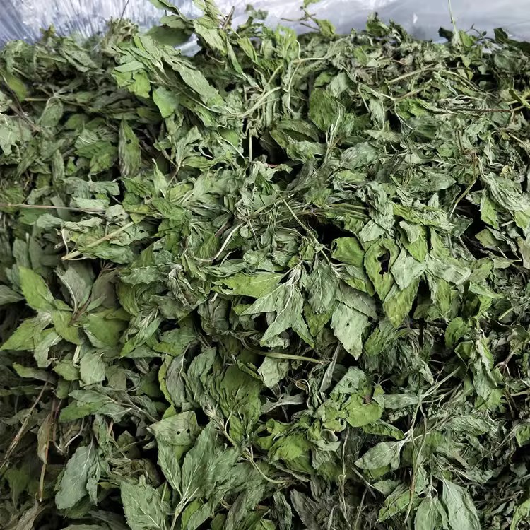 Mint leaves Fresh dry goods Bulk edible mint tea Blister Water Herbal Medicine Bulk Mint Dry Leaf Milling Powder-Taobao
