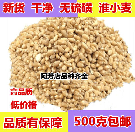 Raw materials Huai wheat 500g grams New goods No sulphur ganmai red date soup stock Huaiwheat tea Chinese herbal medicine