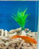 Аквариум, коралловый песок