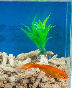 Аквариум, коралловый песок