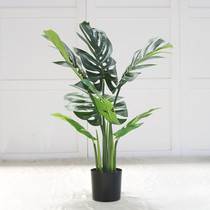 Nordic simulation plant potted fake green planting turtle back leaf living room indoor window large floor-to-ceiling decorative bonsai ornaments