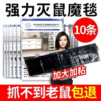 10 фотографий