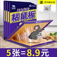 5 отличных пакетов