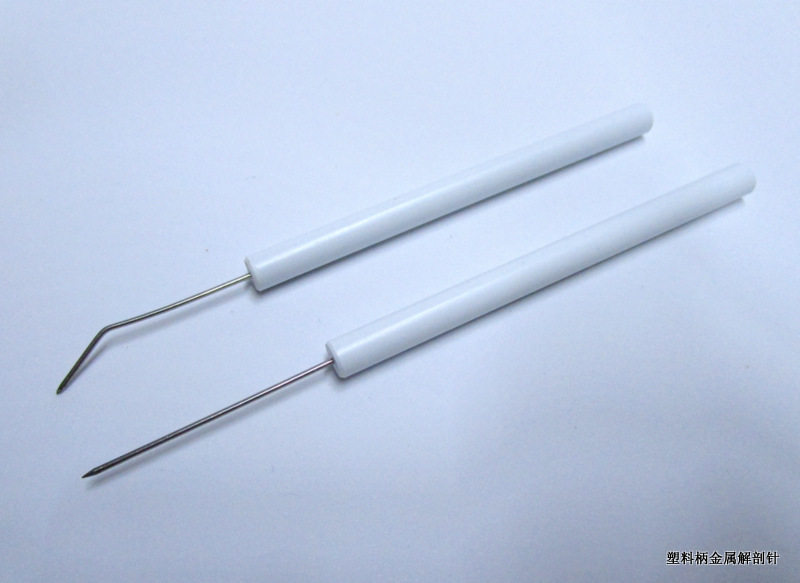 Insect anatomy needle Plastic handle Middle school biology experiment probe Biological straight tip Biological teaching anatomy tool