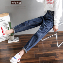 The new autumn and winter Han edition of 2019 new Han - Le Large - legged Sakura Takawa Island Net Red Papa pants plus plus