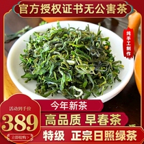 Day photo Green tea 2024 New tea special class pollution-free Shandong Zhengzong Spring tea chestnut fragrant tea bagged 500 head pick