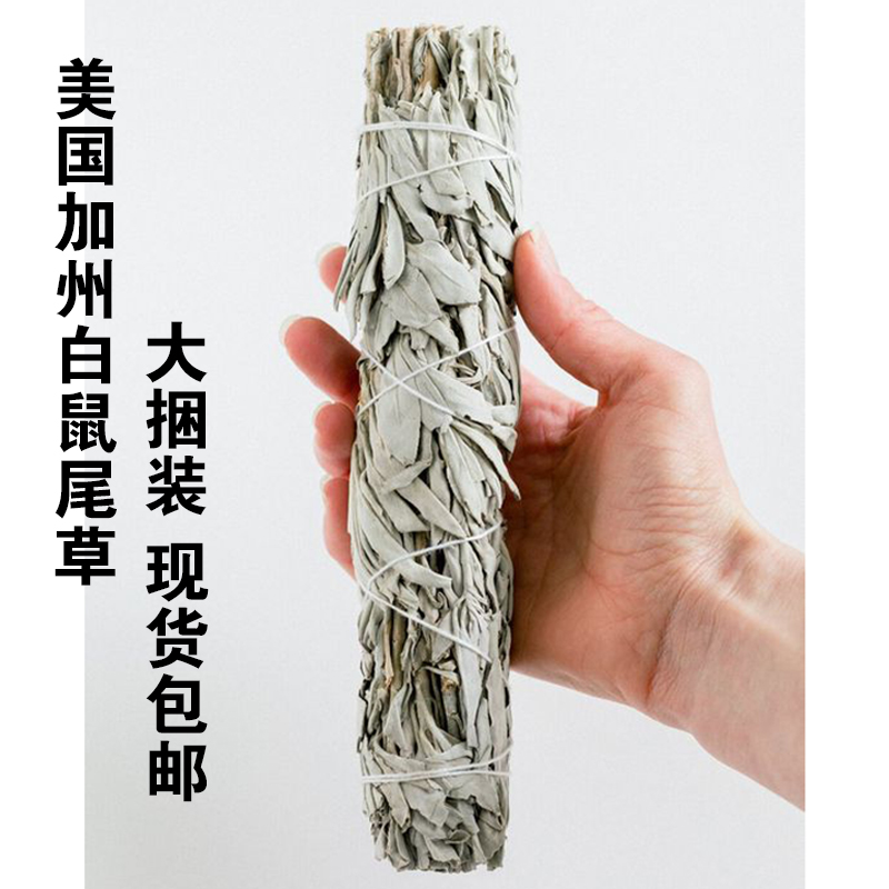 Yunze Large bundles imported from the United States California white sage abalone shells White Sage smoked to purify the air
