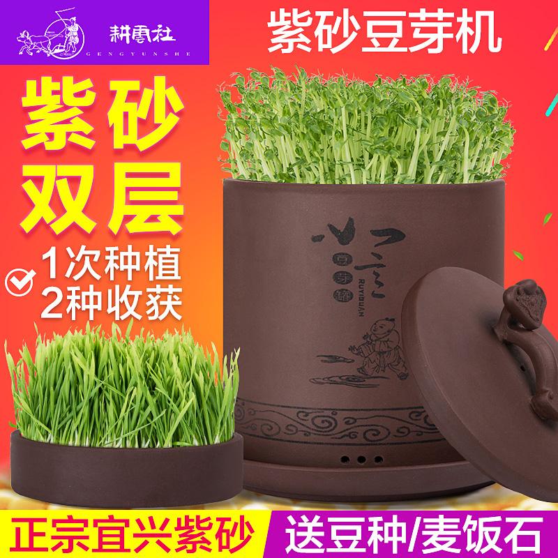 Cultivating Cloud Society Purple Sand Bean Sprout Jar Household Bean Sprout Machine Large Capacity Automatic Raw Bean Sprout Artifact Bean Tooth Sprout Pot Green