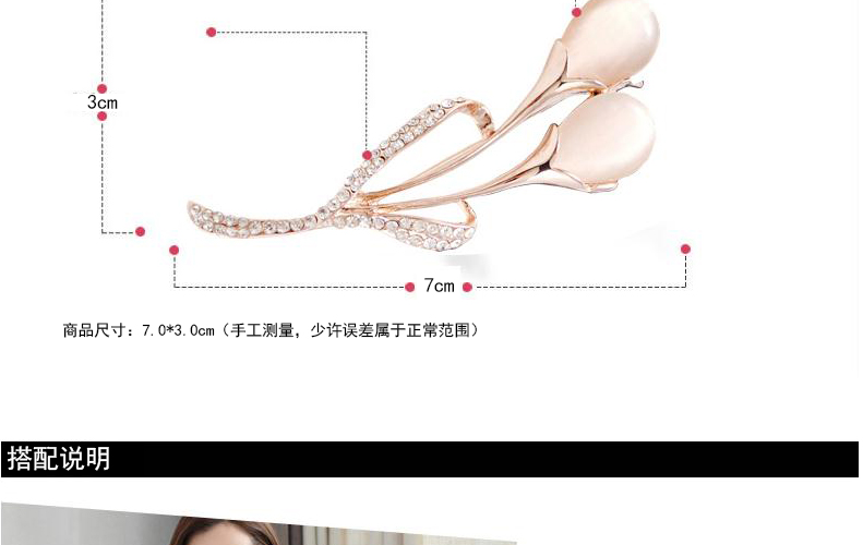 Broche femme en cristal artificiel - Ref 1170211 Image 28